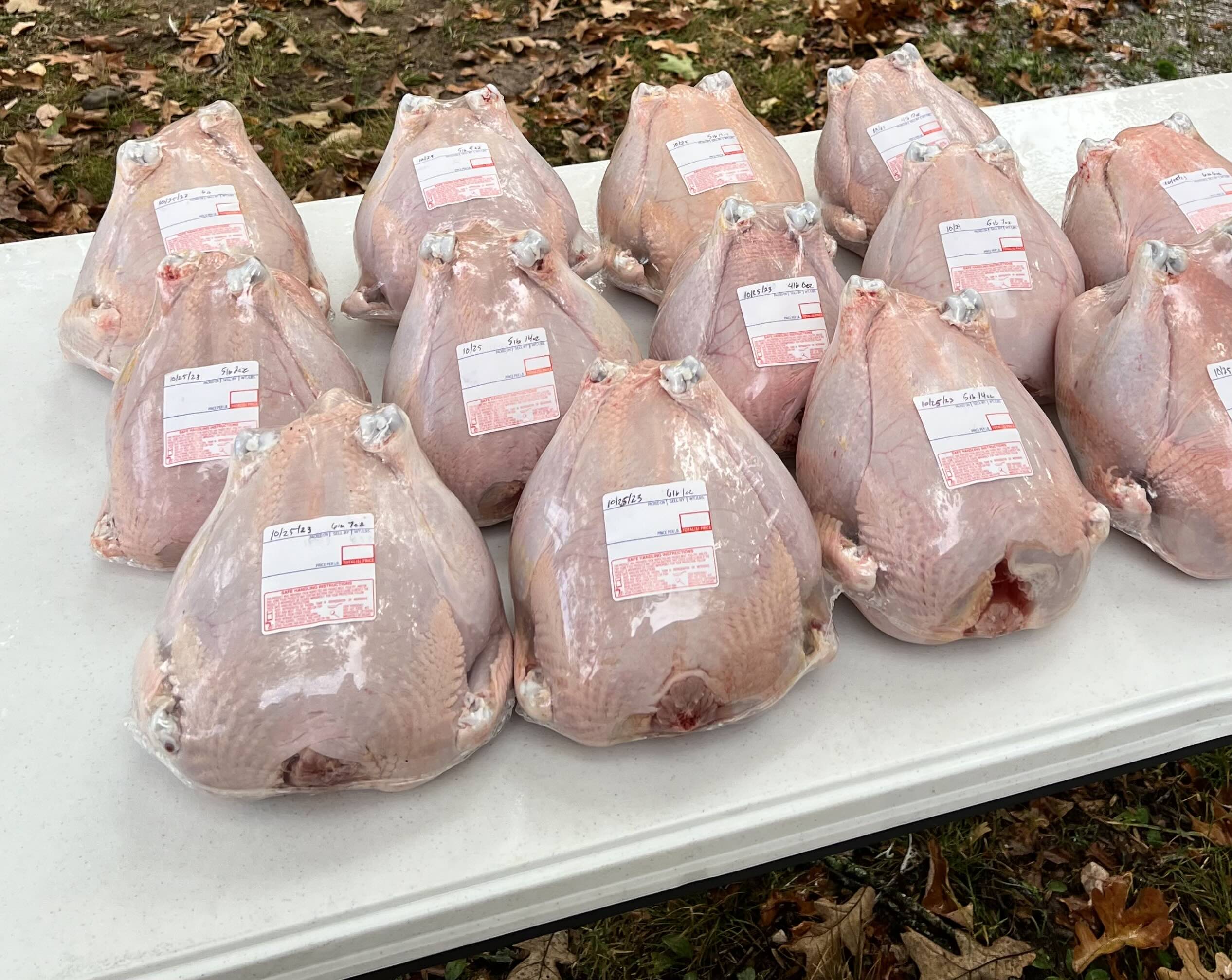 Whole pastured chicken